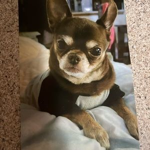 Trade : Clapton with bag charm and Prada sunglasses